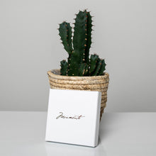 Lade das Bild in den Galerie-Viewer, MONMENTE FAMILIENKETTE MINI