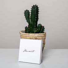 Lade das Bild in den Galerie-Viewer, Mama und Tochter Set-Herzblatt